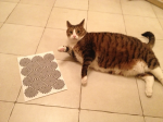 kat.JPG