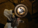 DSC00412.jpg