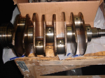 DSC00425.jpg