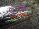 STI Genomeee.jpg