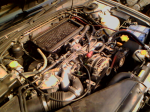 IMG0077A.jpg