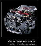 getImage (12).jpg