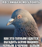 jf-KMz5fCgA.jpg