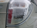 WP_000792.jpg