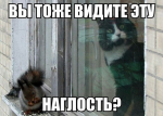 xrgbsRAB-ek.jpg