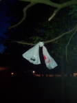 IMG_20140524_005007.jpg