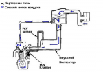 pcv.jpg