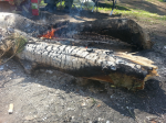 20140720_131116.jpg