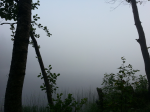 20140719_062844.jpg