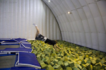 Image00014 small.jpg