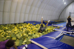 Image00015 small.jpg