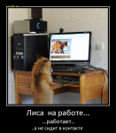 akDFS19WnoY.jpg