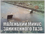 4346587.jpg