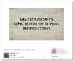 4753411.jpg