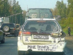 4795836.jpg