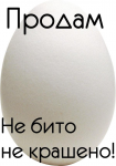 5234037.jpg