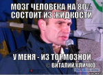 5291979.jpg