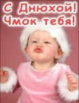 gSaKKiMy8zY.jpg