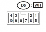 D5.JPG