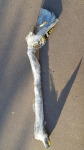 20150912_173918.jpg