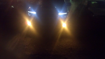 IMAG0028.jpg