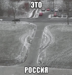 6779153.jpg