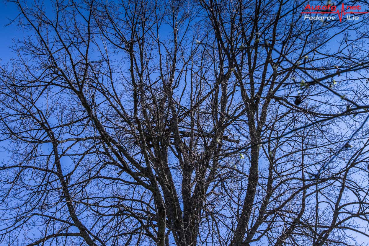FED_0132.jpg