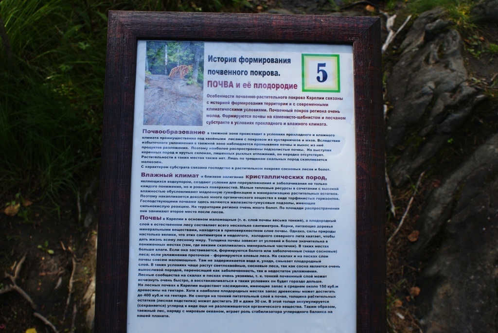 DSC04559.JPG