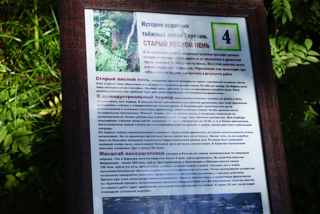 DSC04576.JPG
