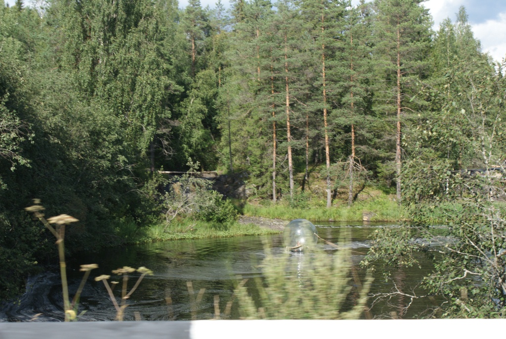 DSC04778.JPG