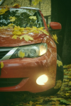 x_b310d84a.jpg