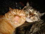 DSC06031.JPG