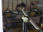 P5260109e.JPG