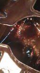 IMAG0033.jpg