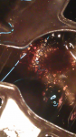 IMAG0033.jpg