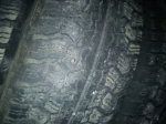 IMG_20111031_141155.jpg