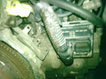 PIC00105.jpg