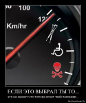 1262205479_1261940856_5.jpg