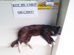IMAG0262.jpg