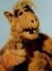 Armagg_avatar390_1.gif