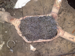 06042012581.jpg