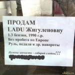 1343135612_1343072r.jpg