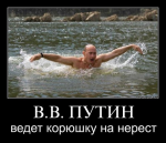 eKPcDkNnCOg.jpg