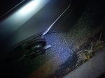 DSC00347.JPG