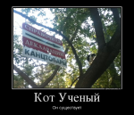 68431334_uchenyij-kot.jpg