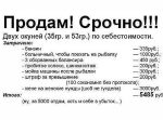 6xId6XEOM9o.jpg