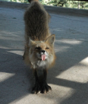 1267725955-fotopodborka-pjatnicy-155-foto_AddFun.ru_31.jpg
