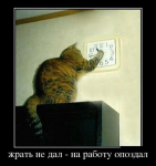 -qNH4TvLrf0.jpg