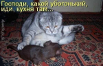 X_4tWp2enk0.jpg