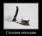-glPhDBGtmI (1)1.jpg
